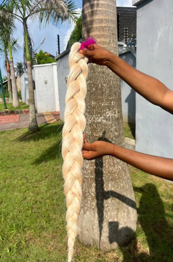 Blonde color Plant Based Braiding Hair - Image 2