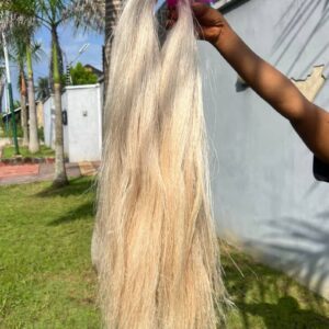 Blonde color Plant Based Braiding Hair