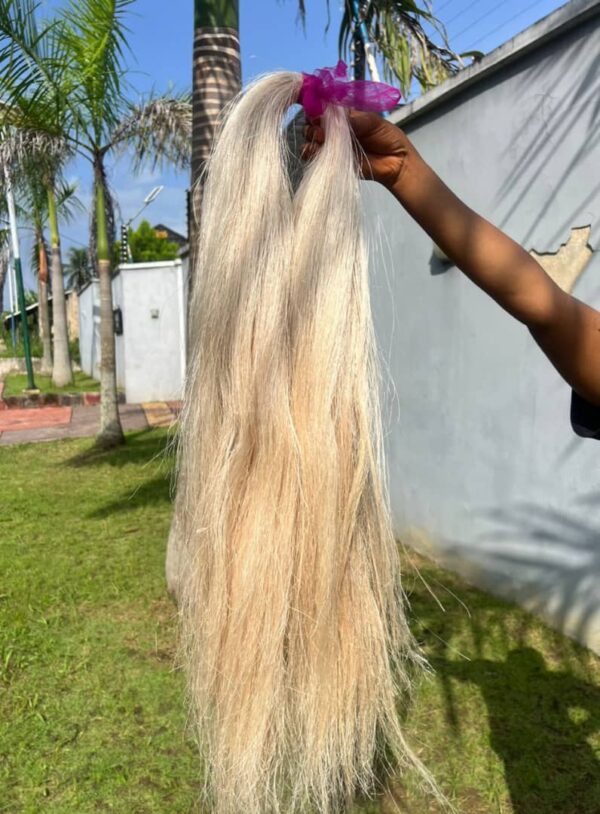 Blonde color Plant Based Braiding Hair